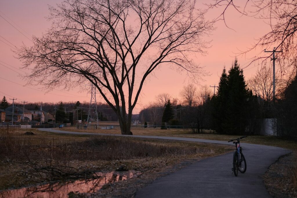 Bicycle resting on a park path at sunset